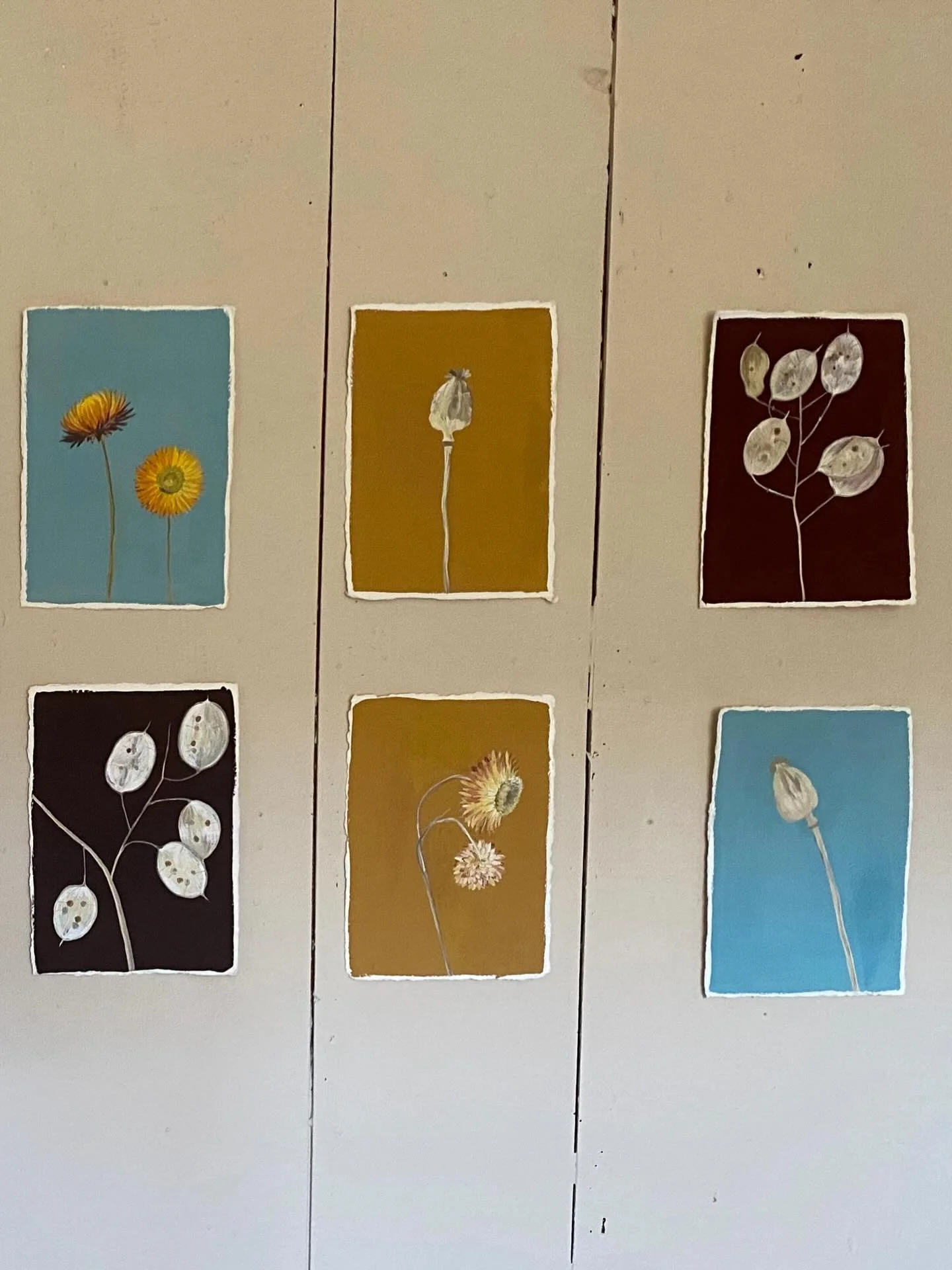 The dried flower collection is coming together