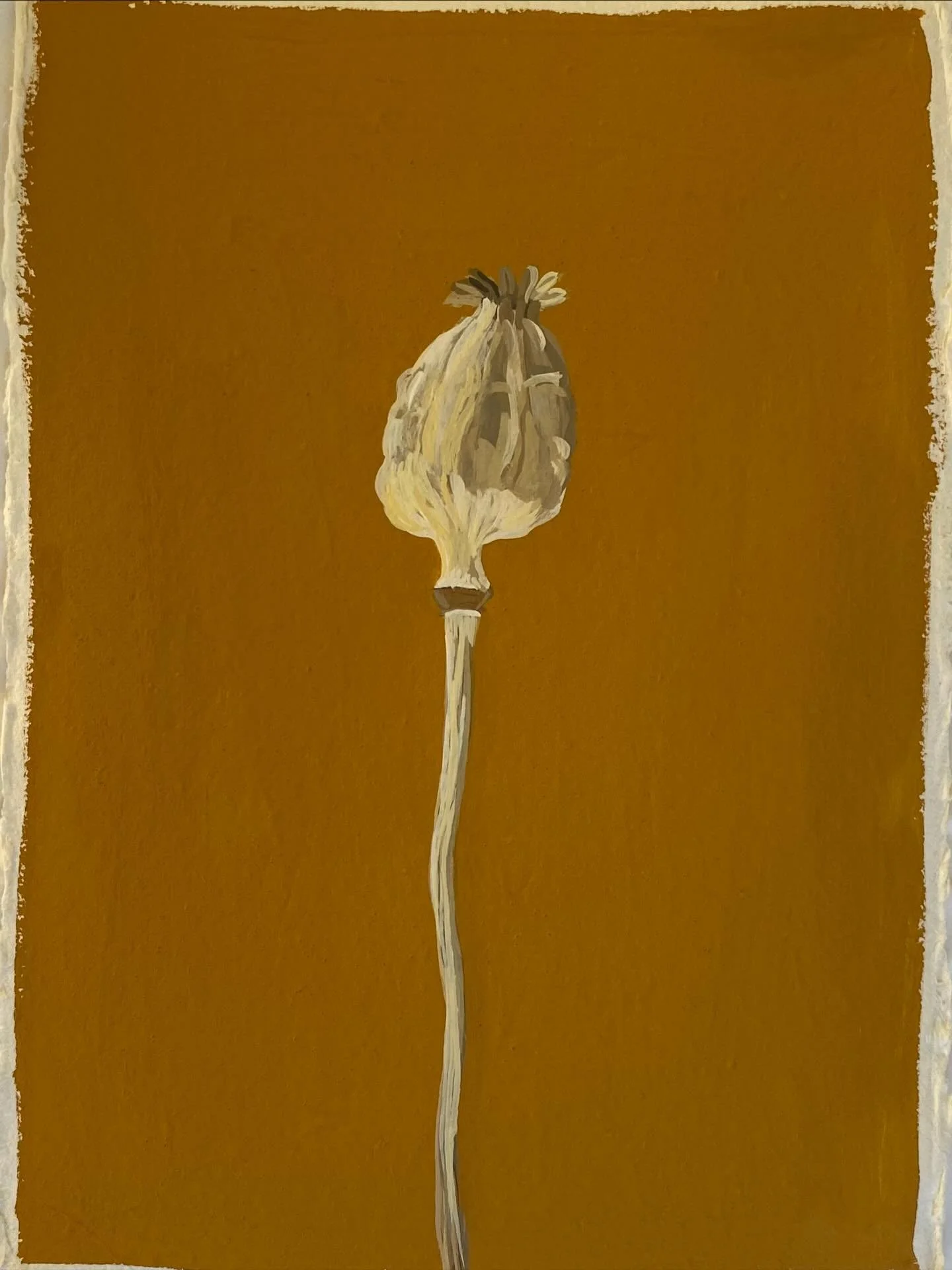 I&rsquo;ve just added my collection of little dried flower and seed head paintings to my website (link in bio)