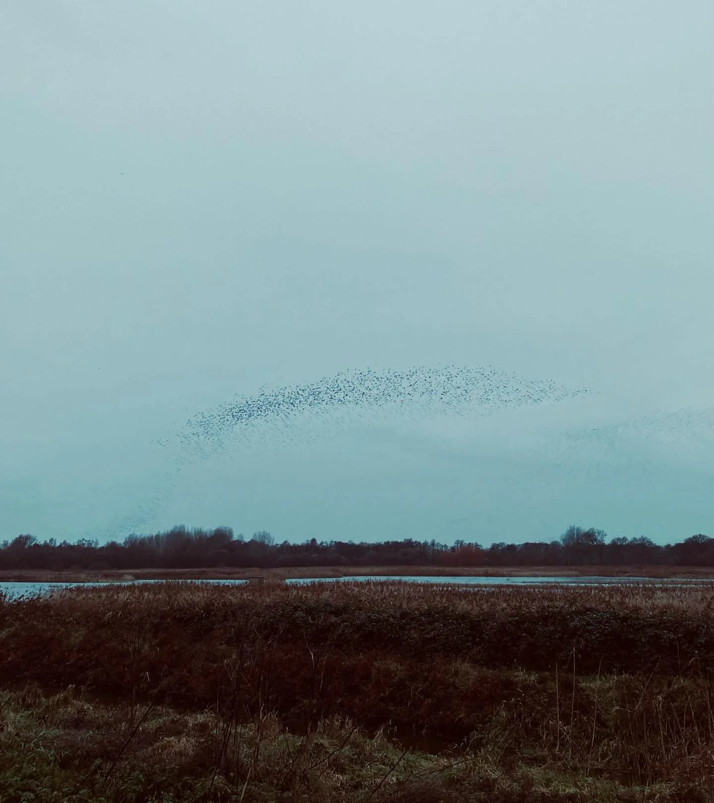 Recently ✨

Merry Christmas 🎄 Thank you for all your support this year 🧡