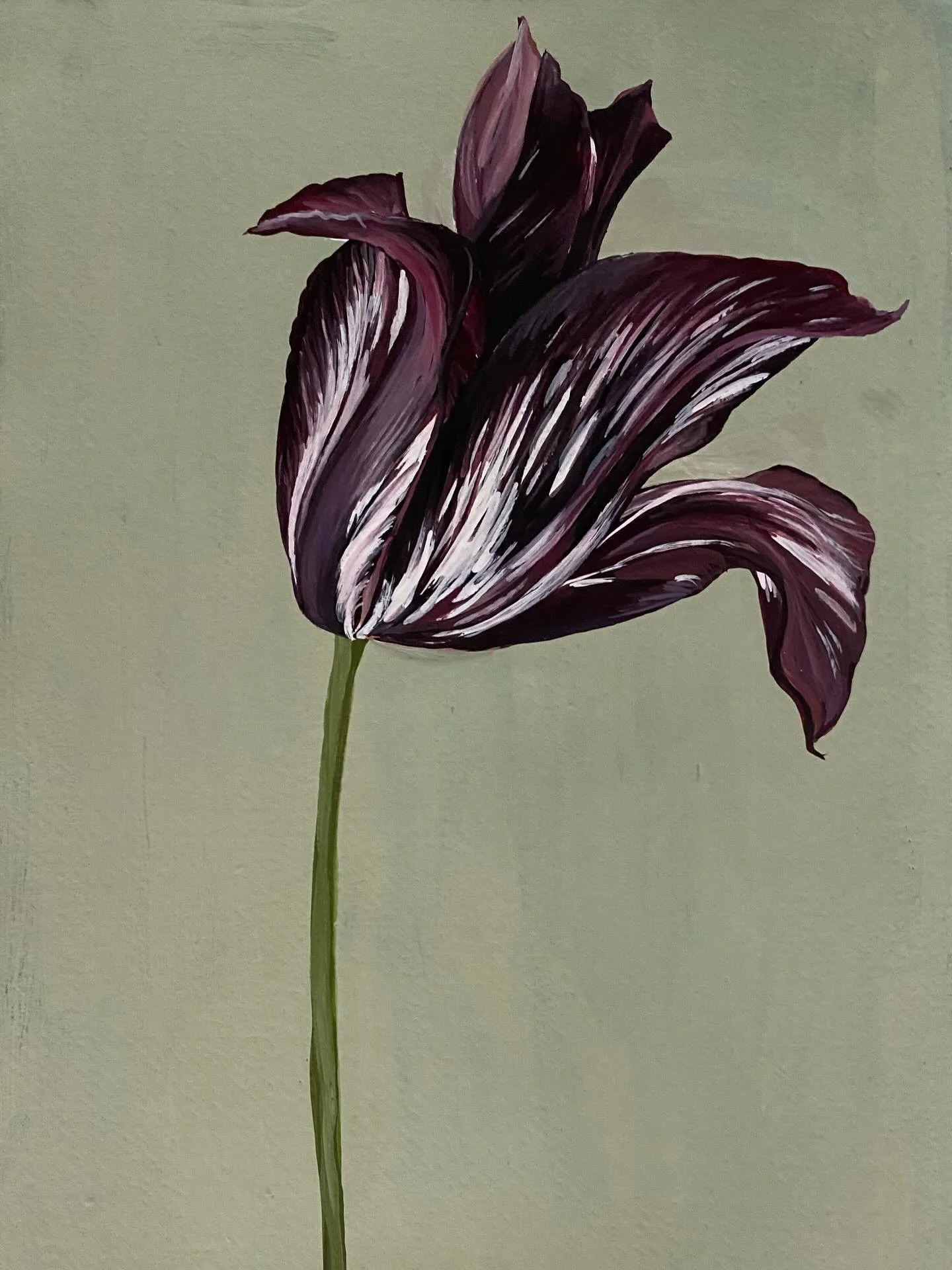 Starting the new year with a new collection of paintings. First up, some tulips. I&rsquo;ve only recently planted some tulip and fritillary bulbs for spring and it took me back to all the incredible colours, markings, and shapes. The new collection w