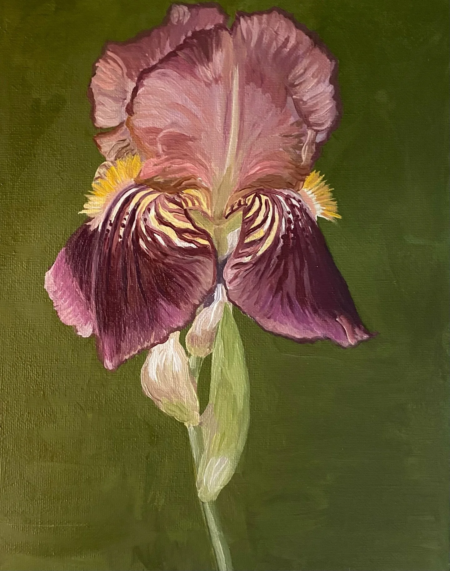 Finished. Iris &lsquo;Dauntless&rsquo; oil on board