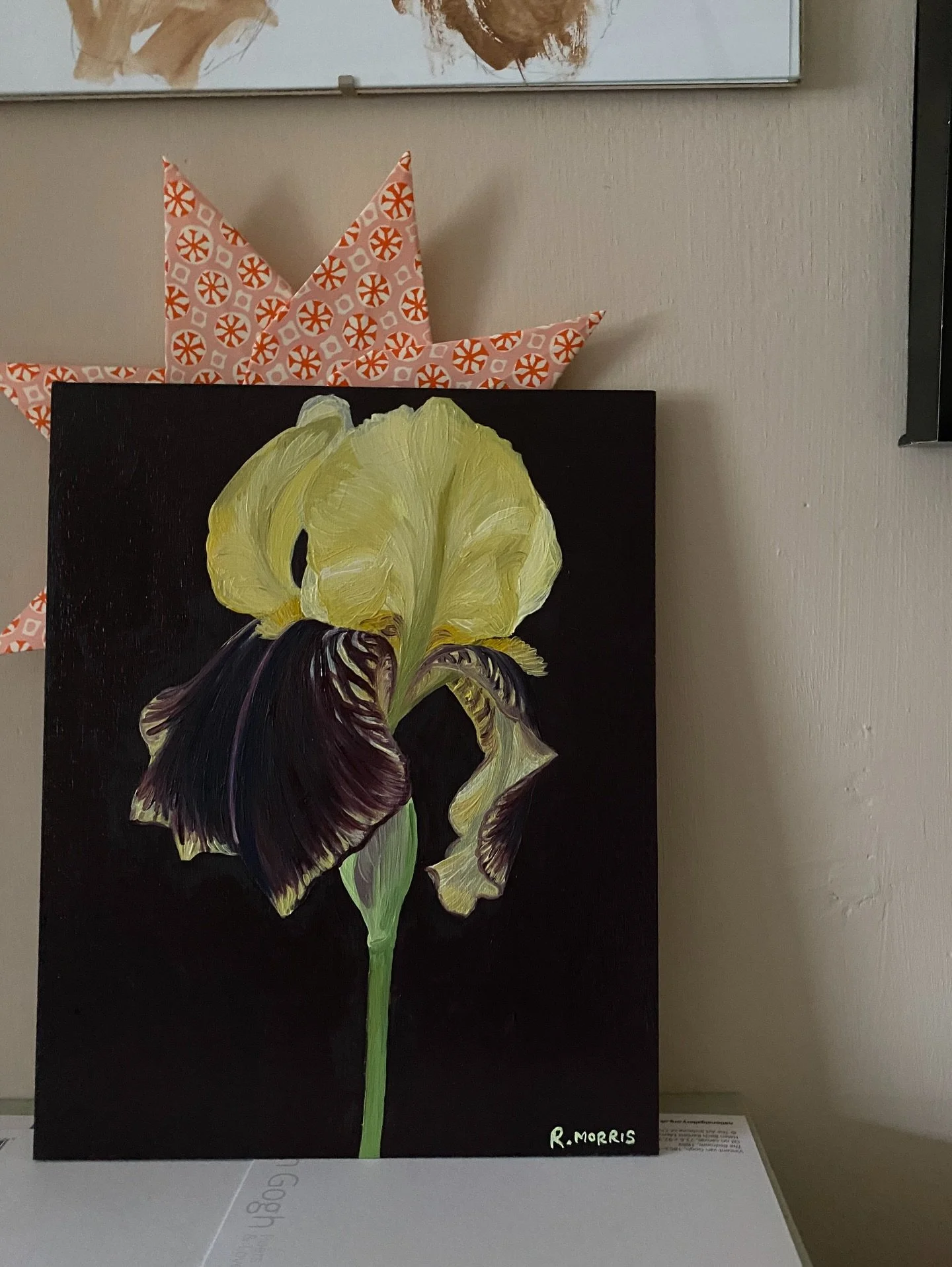 Iris &lsquo;Rajah&rsquo; oil on panel 
8 x 10in