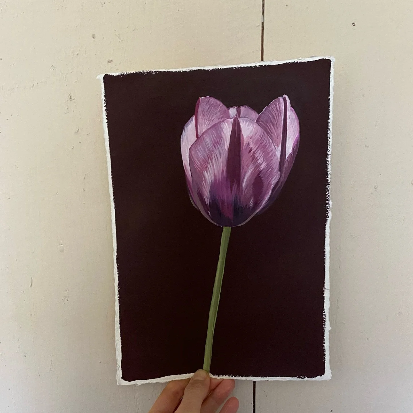 I&rsquo;m so excited for tulip season 🌷

Gouache on cotton rag paper.
21 x 30cm