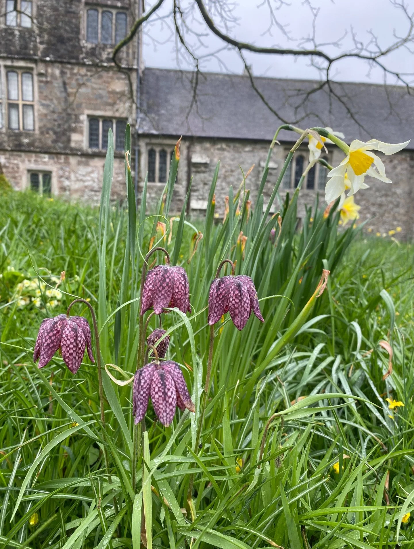Beautiful @ntcotehele