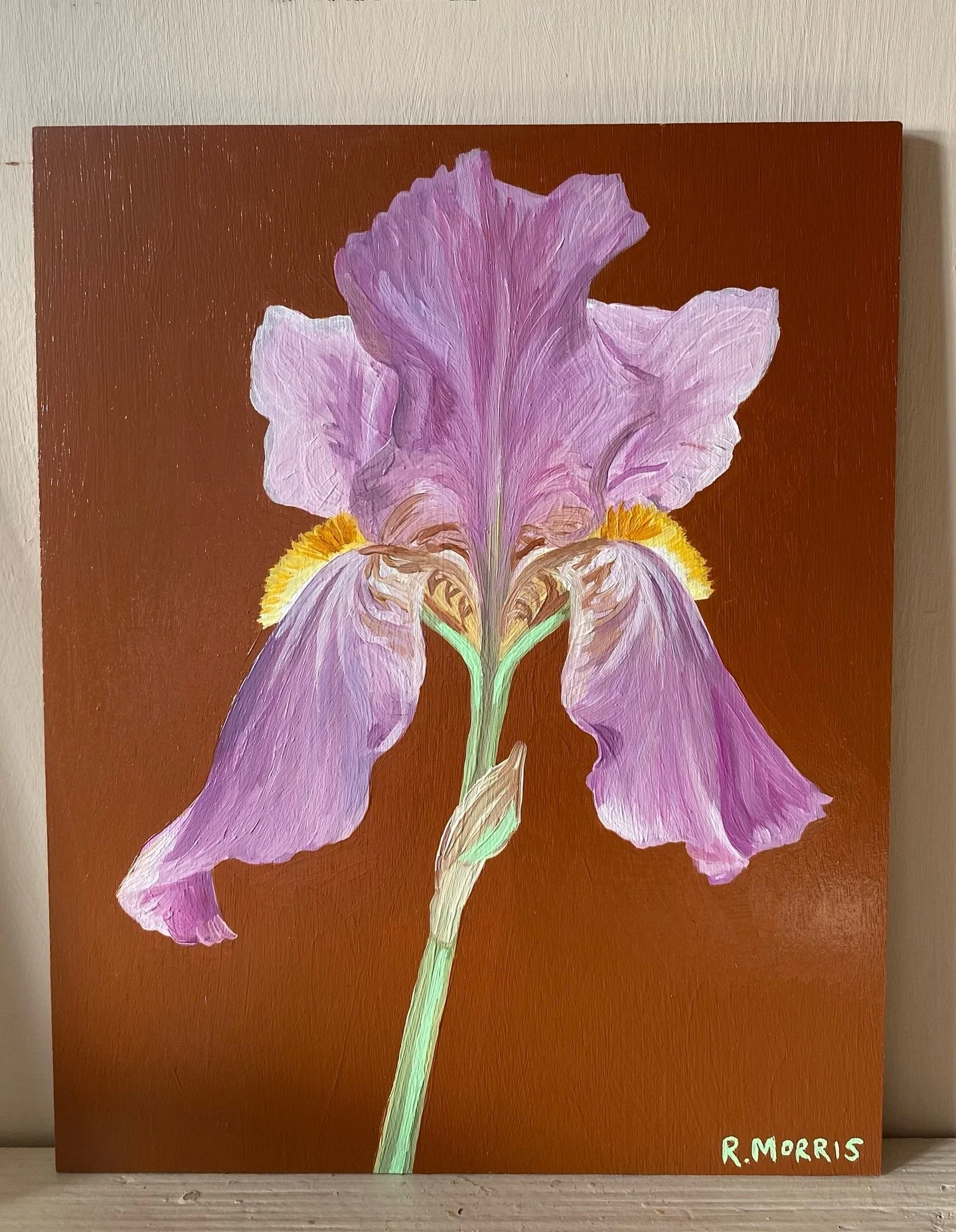 Iris &lsquo;Benton Old Madrid&rsquo; oil on panel. 

I observed this exquisite iris a couple of springs ago at Hillside, the beautiful garden of @huw_._morgan and @coyotewillow, when I was fortunate enough to be able to get up close to their wonderfu