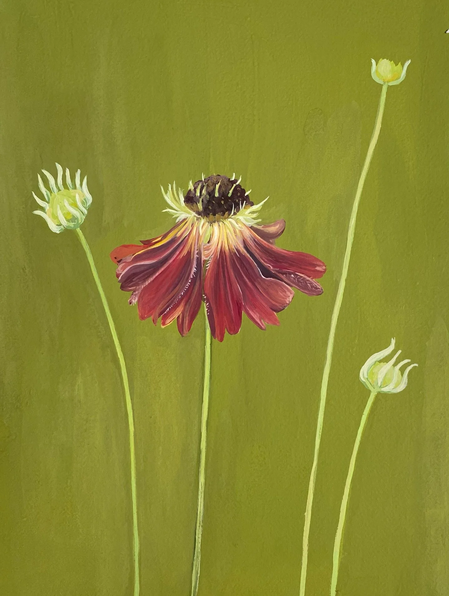 STUDIO SALE

I&rsquo;m having a little clear out and have added several paintings to a studio sale on my website. See link in bio.