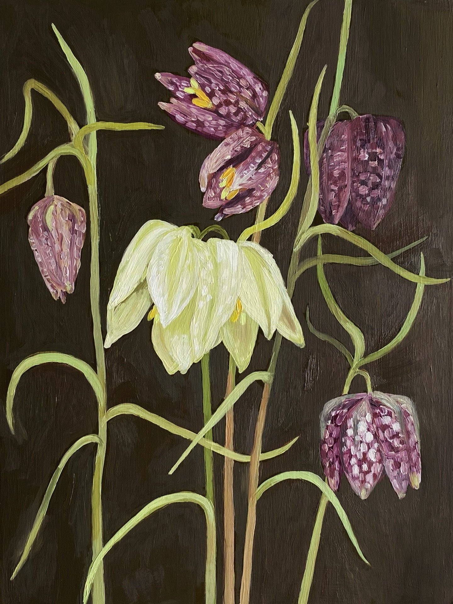 Snake&rsquo;s head fritillaries 

Oil on gessoed panel

9 x 12in

Available soon