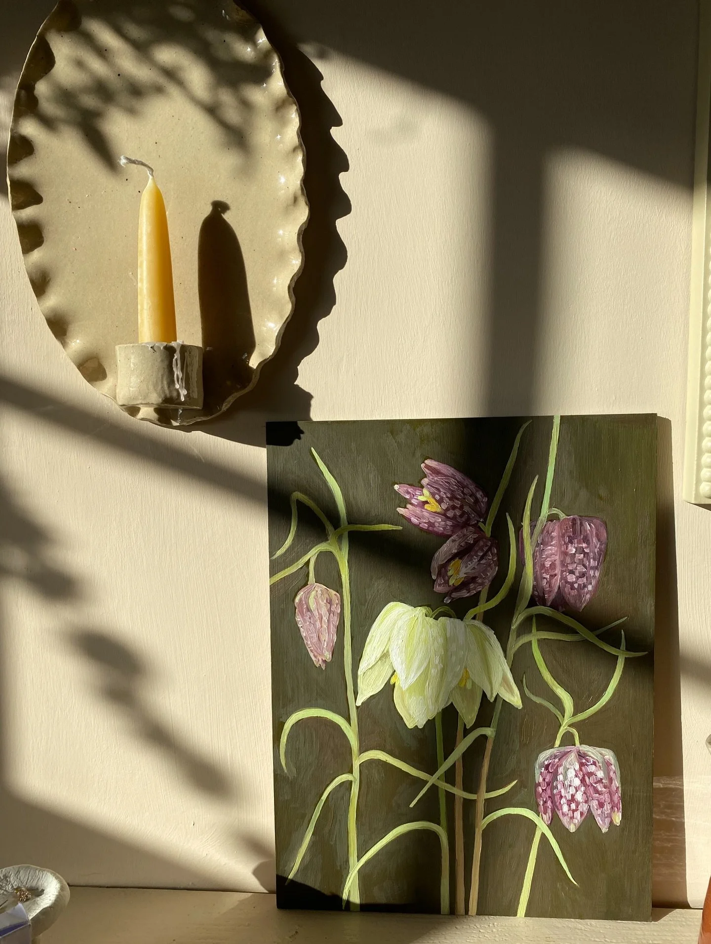 Snake&rsquo;s head fritillaries in the sunshine