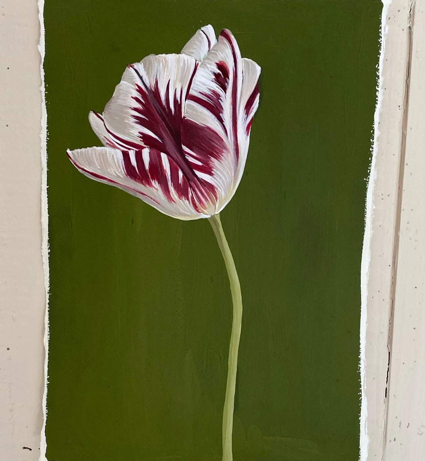 Tulipa &lsquo;Grand Perfection&rsquo;

Gouache on cotton rag paper, size A4.

Available in my website shop (see link in bio).