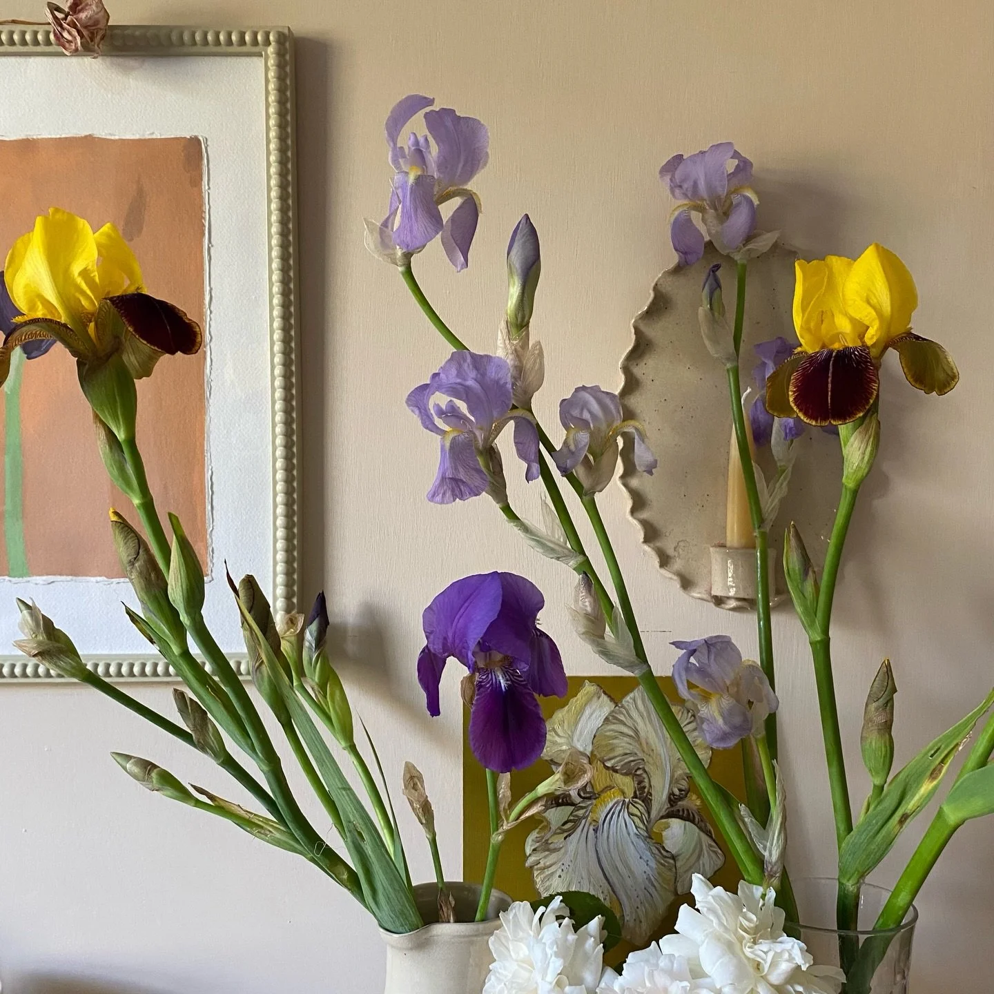 Fleeting iris moments