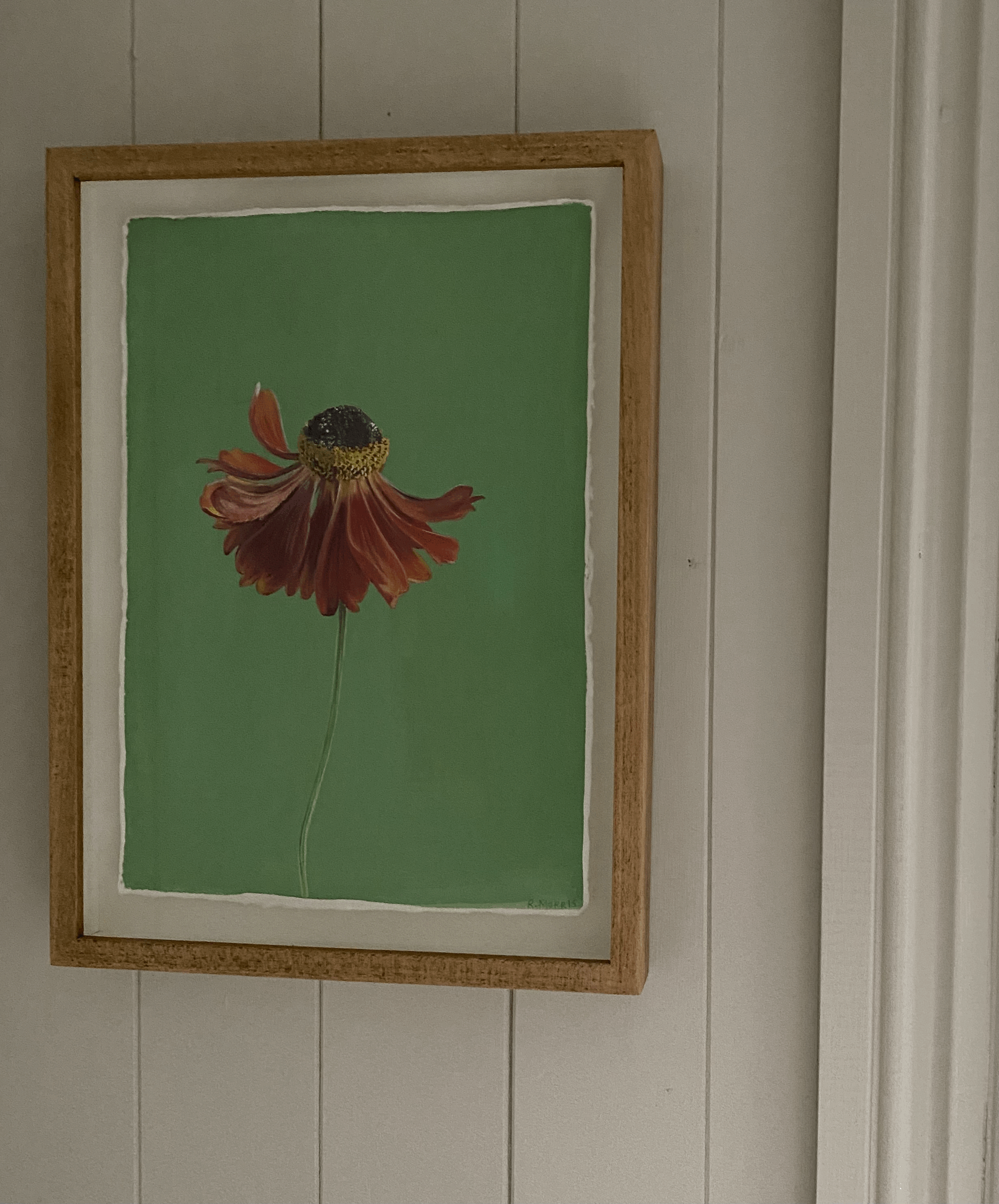 tempImage0QRH8k.gif