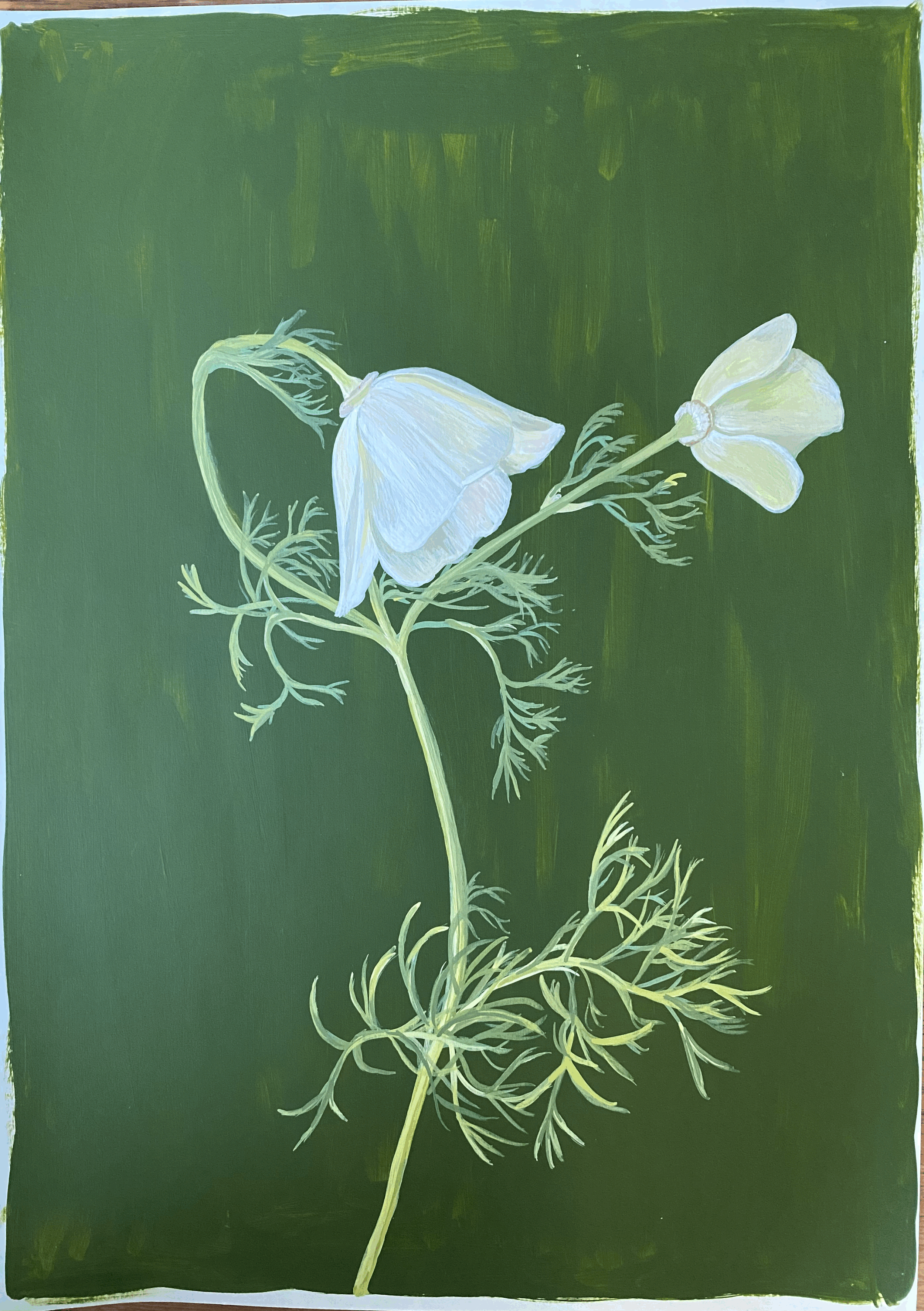tempImageCiPO39.gif