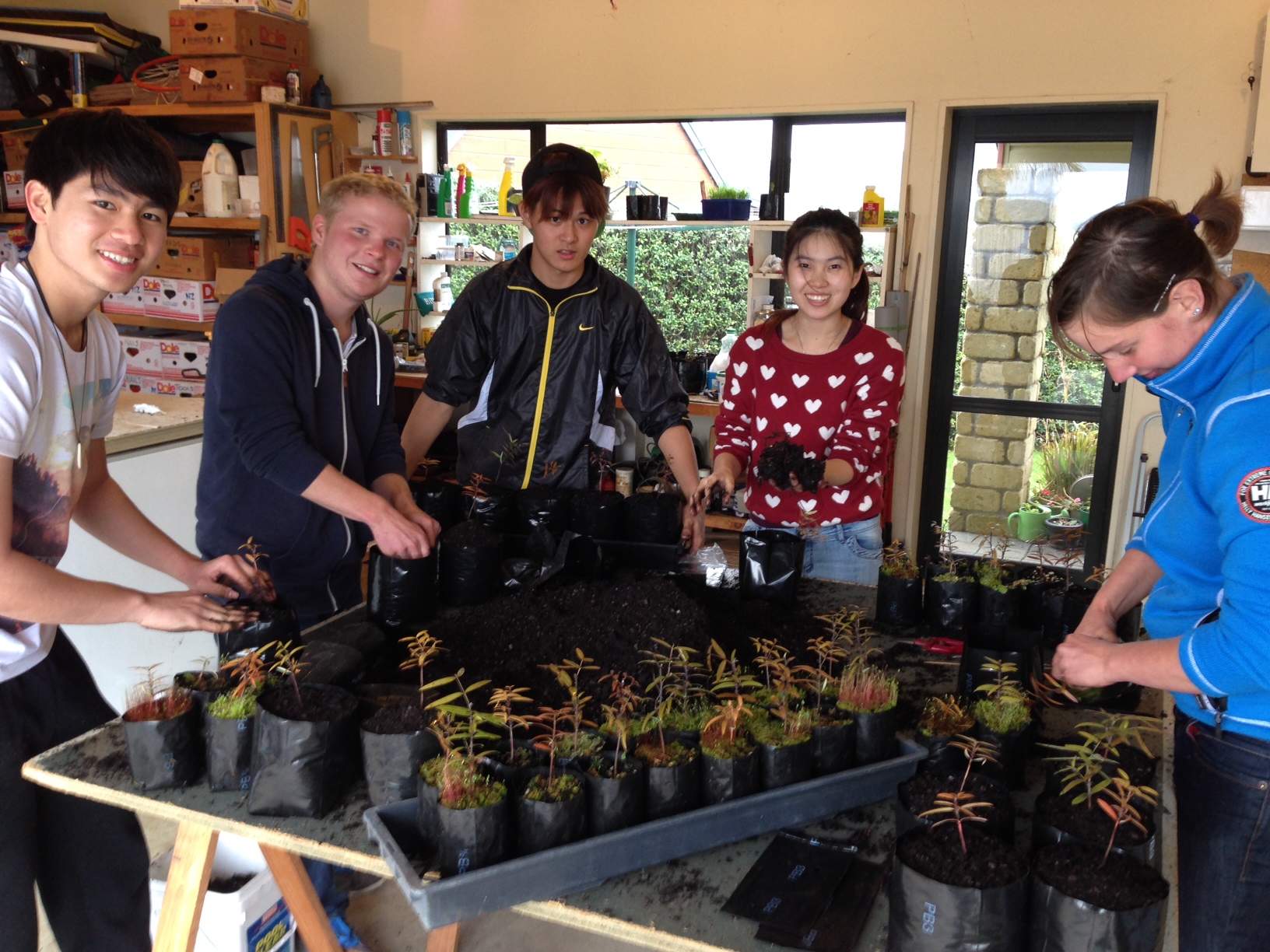 Pond, Roger, Kosiu, Pang and Sandra getting their hands dirty.