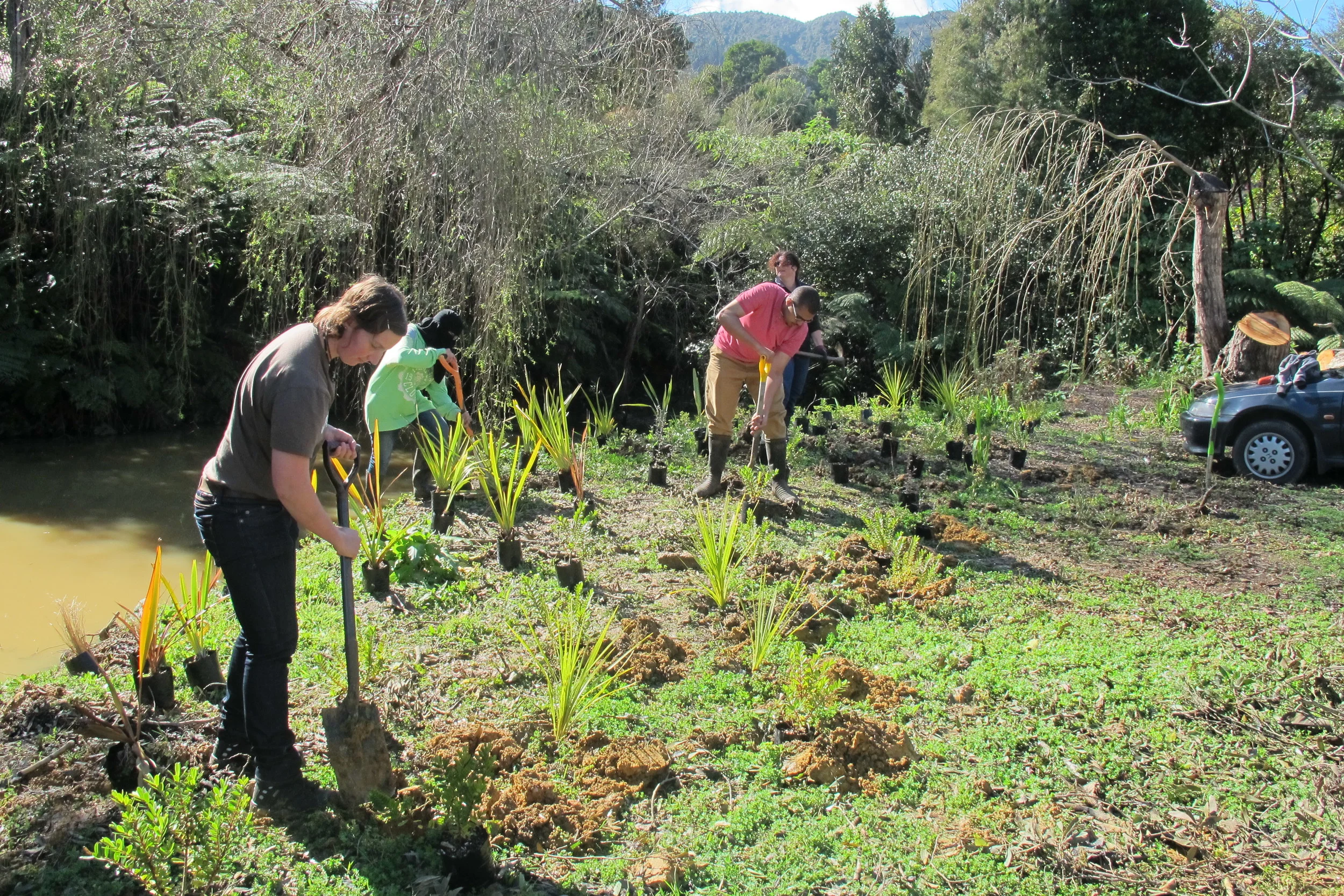 Planting Time