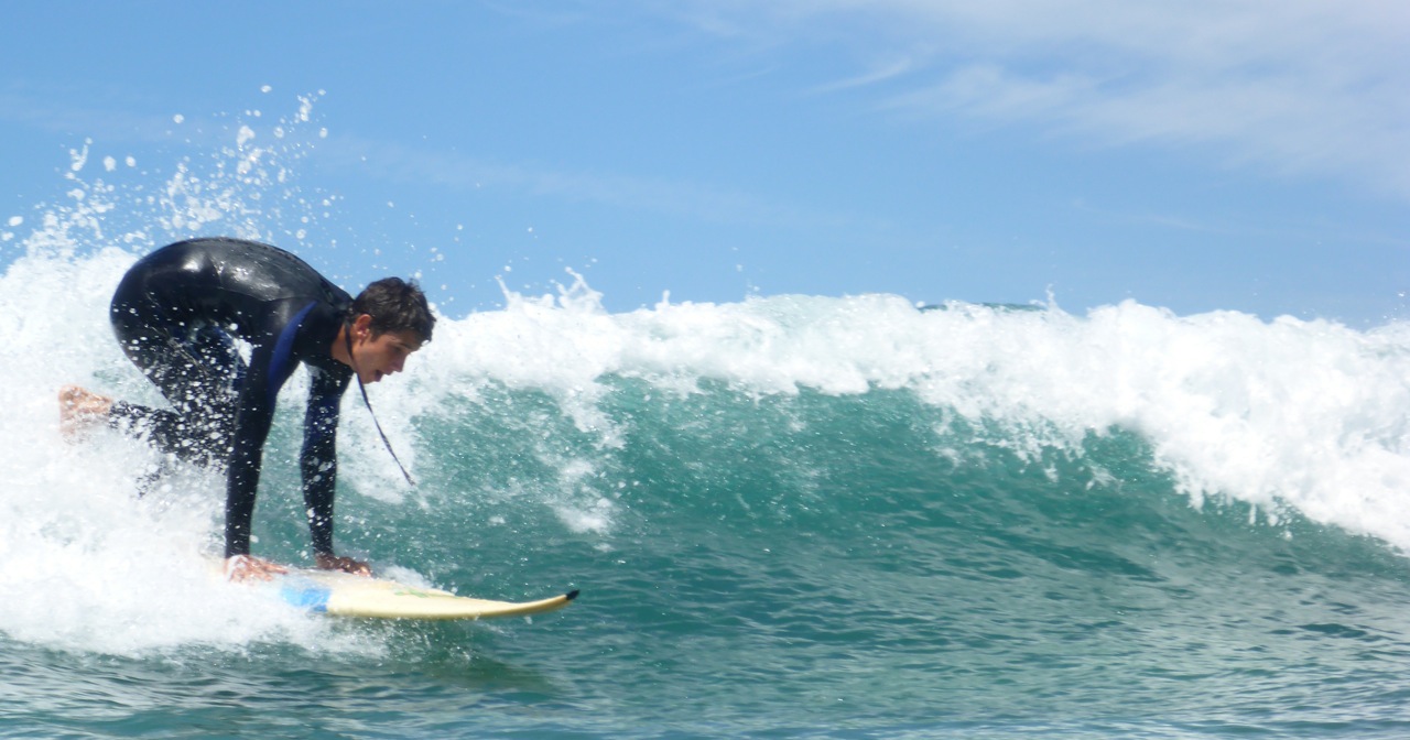 Surfing has been popular this year.