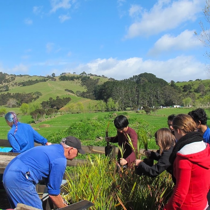 enviro planting2.jpg
