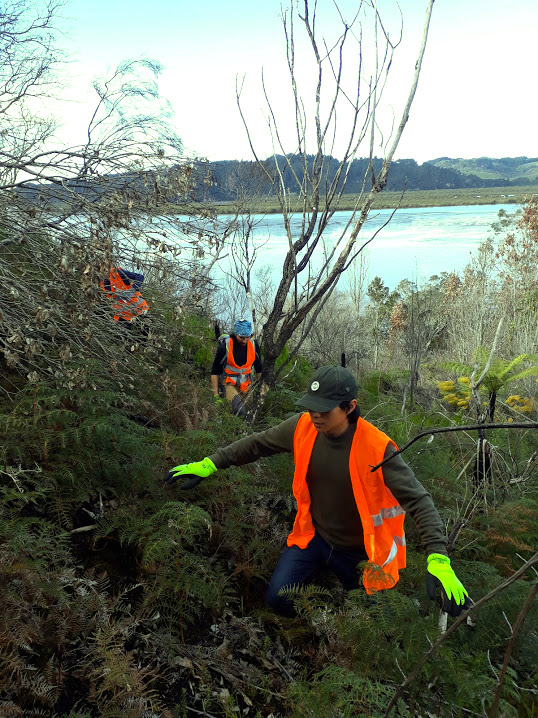 fire site weeding.jpg