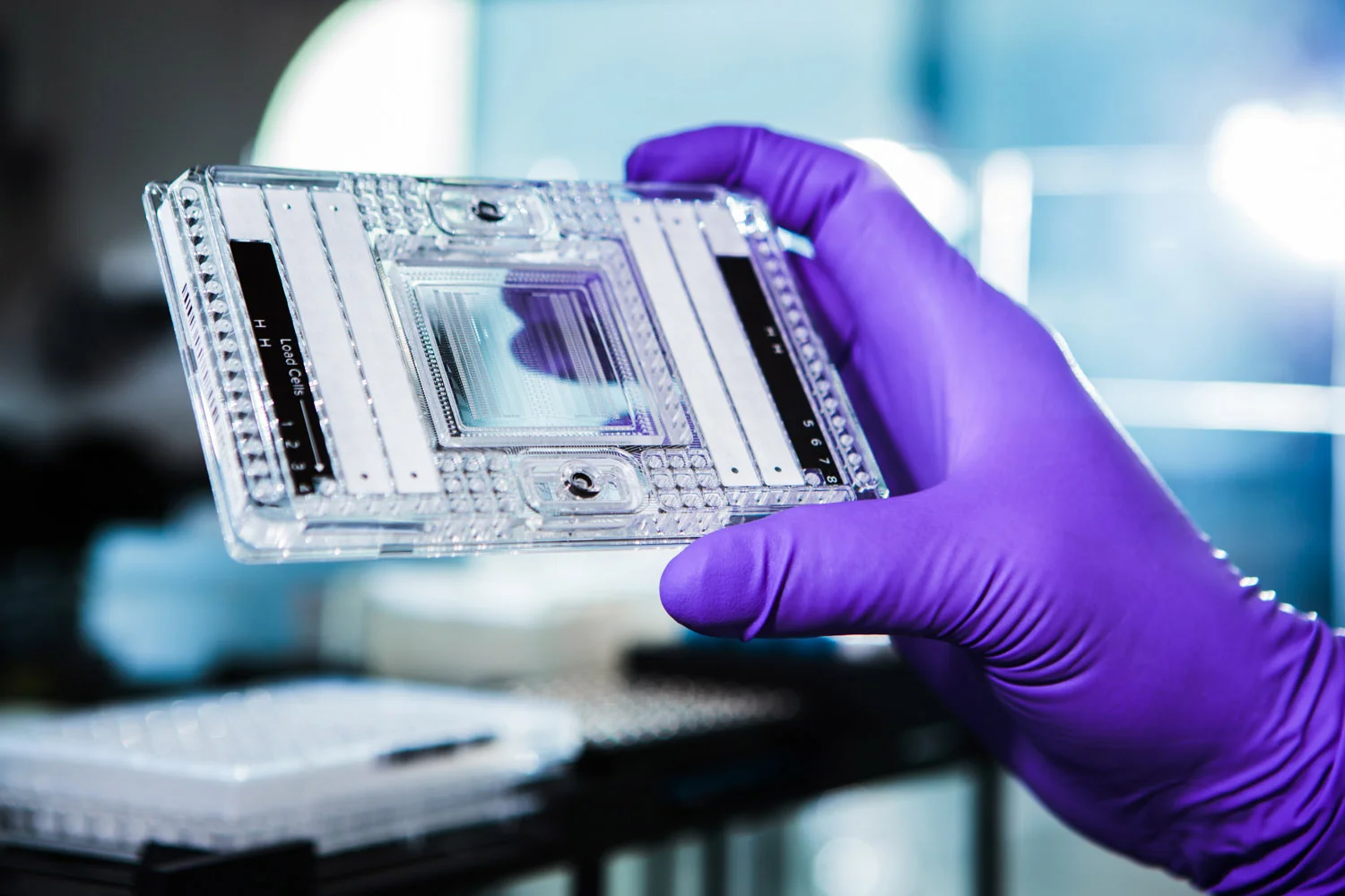 Scientific Photography — London Photographer Dan Burman Photography