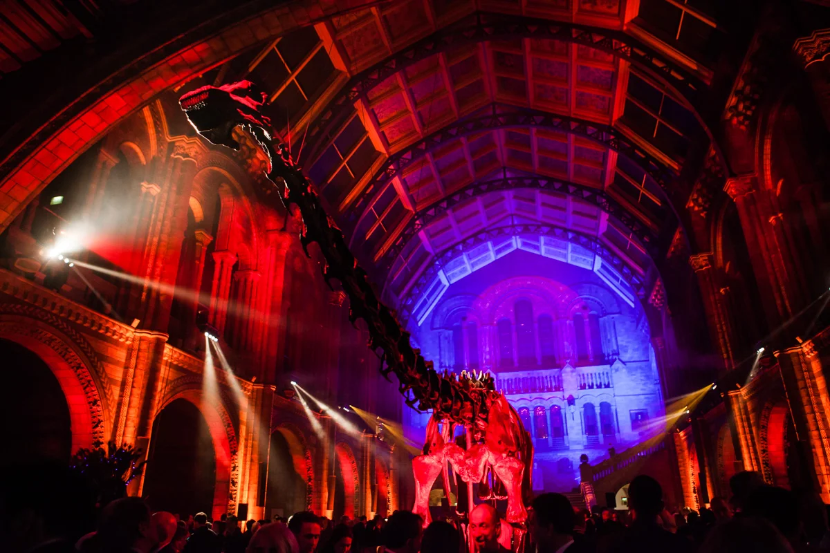 natural history museum (16).jpg