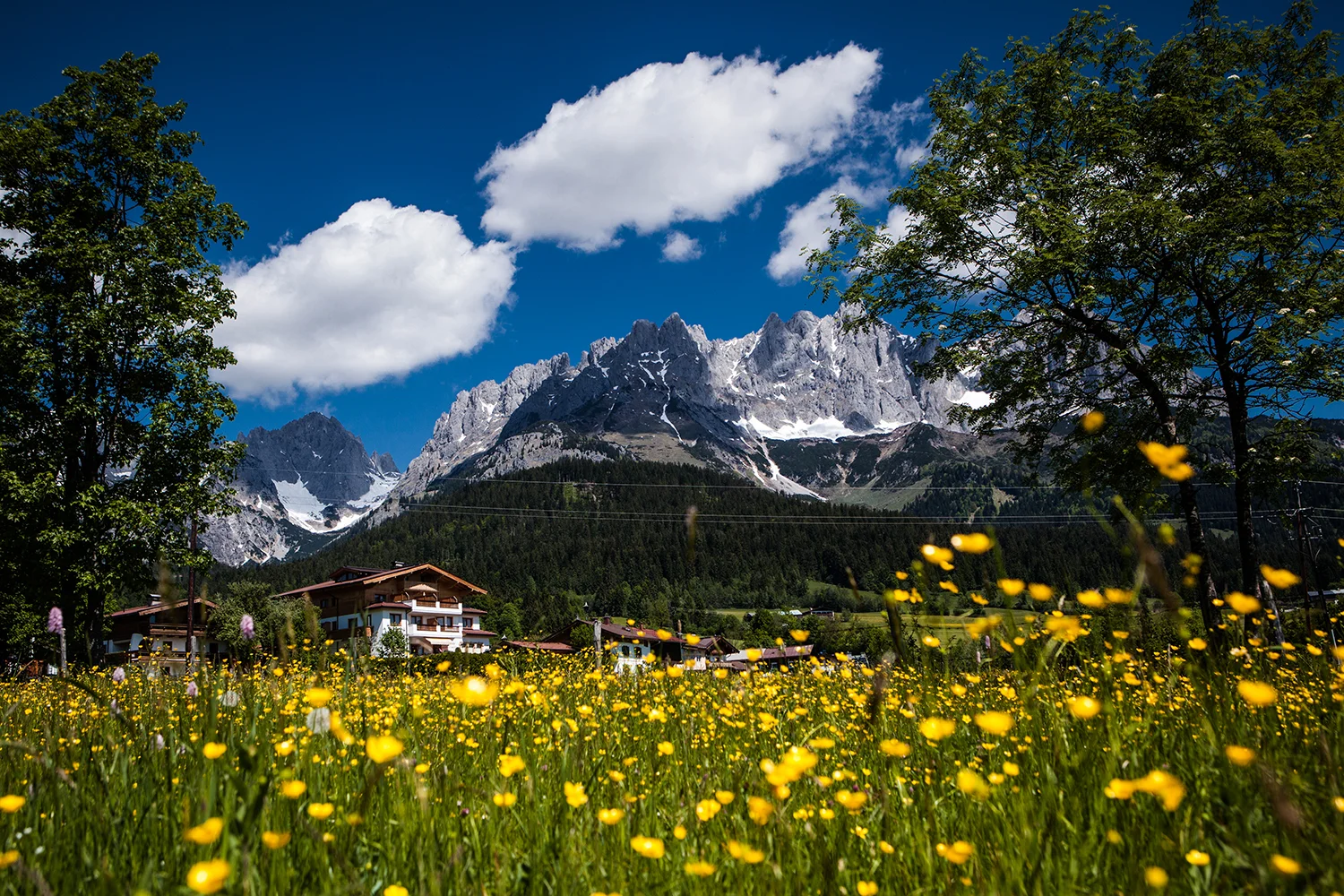 stanglwirt_hotel_03.jpg