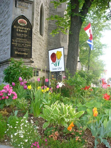Kent Street garden