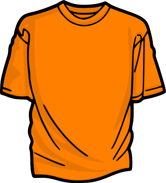 t-shirt-306168_640.png