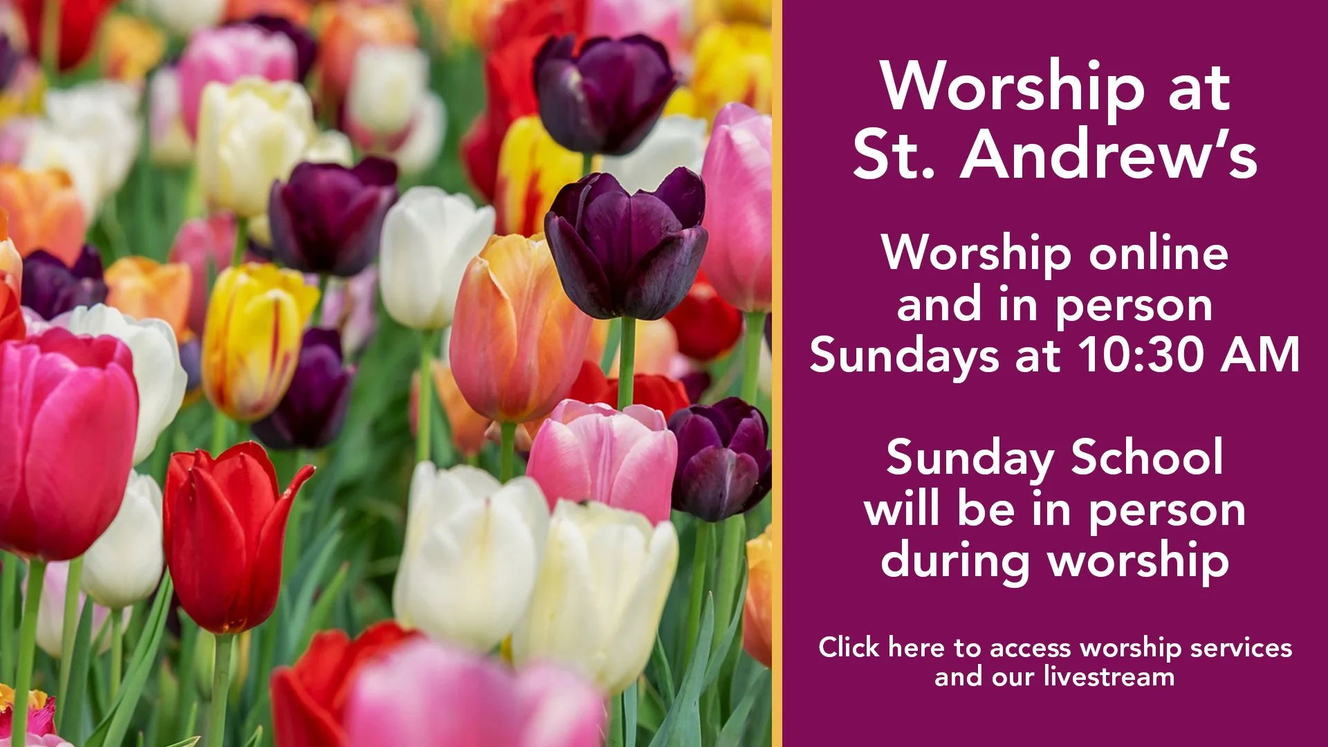 Spring-Generic-Worship-Slider.jpg