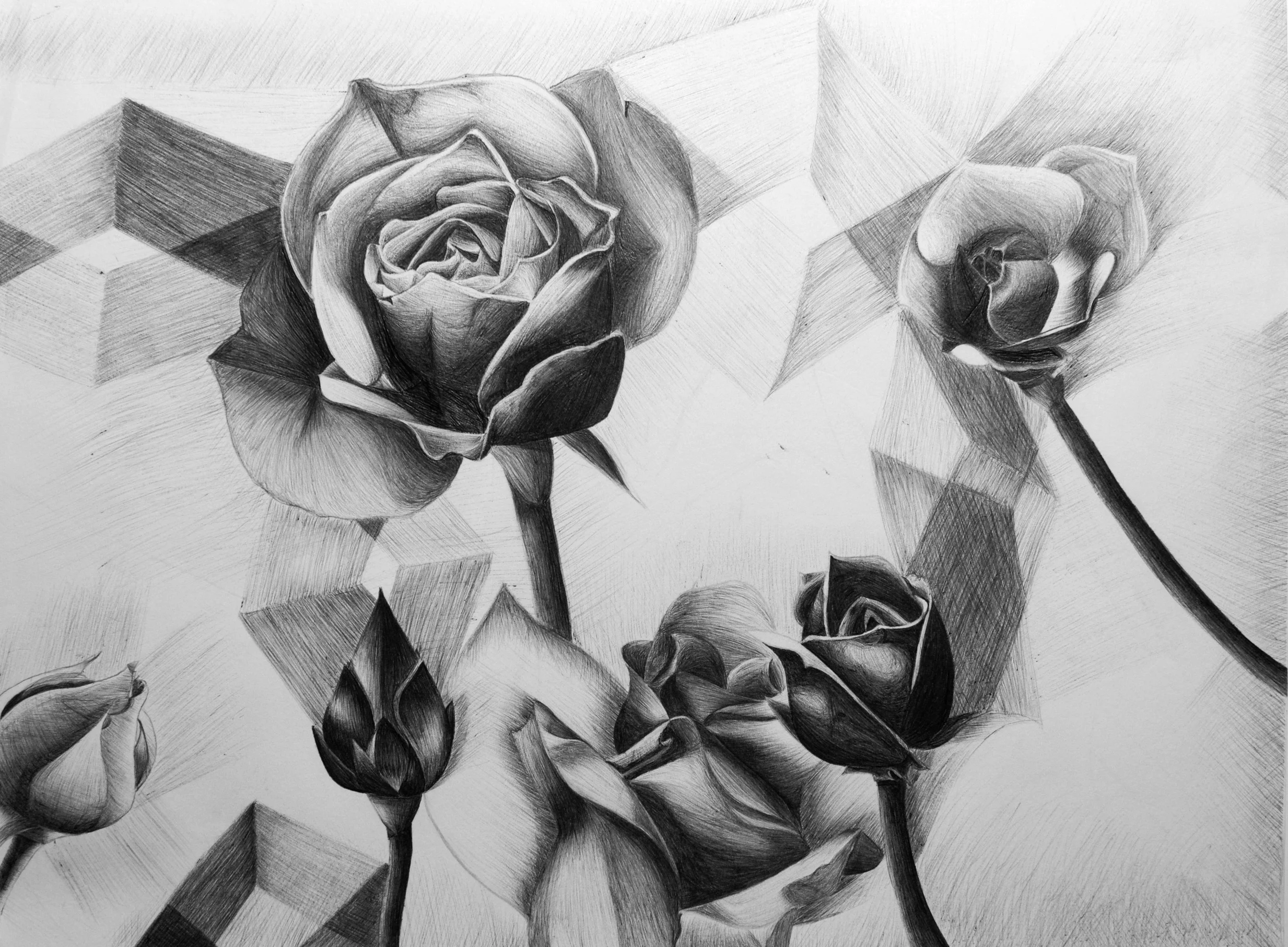 Yerin Ha (8th Grade) - Honourable Mention
