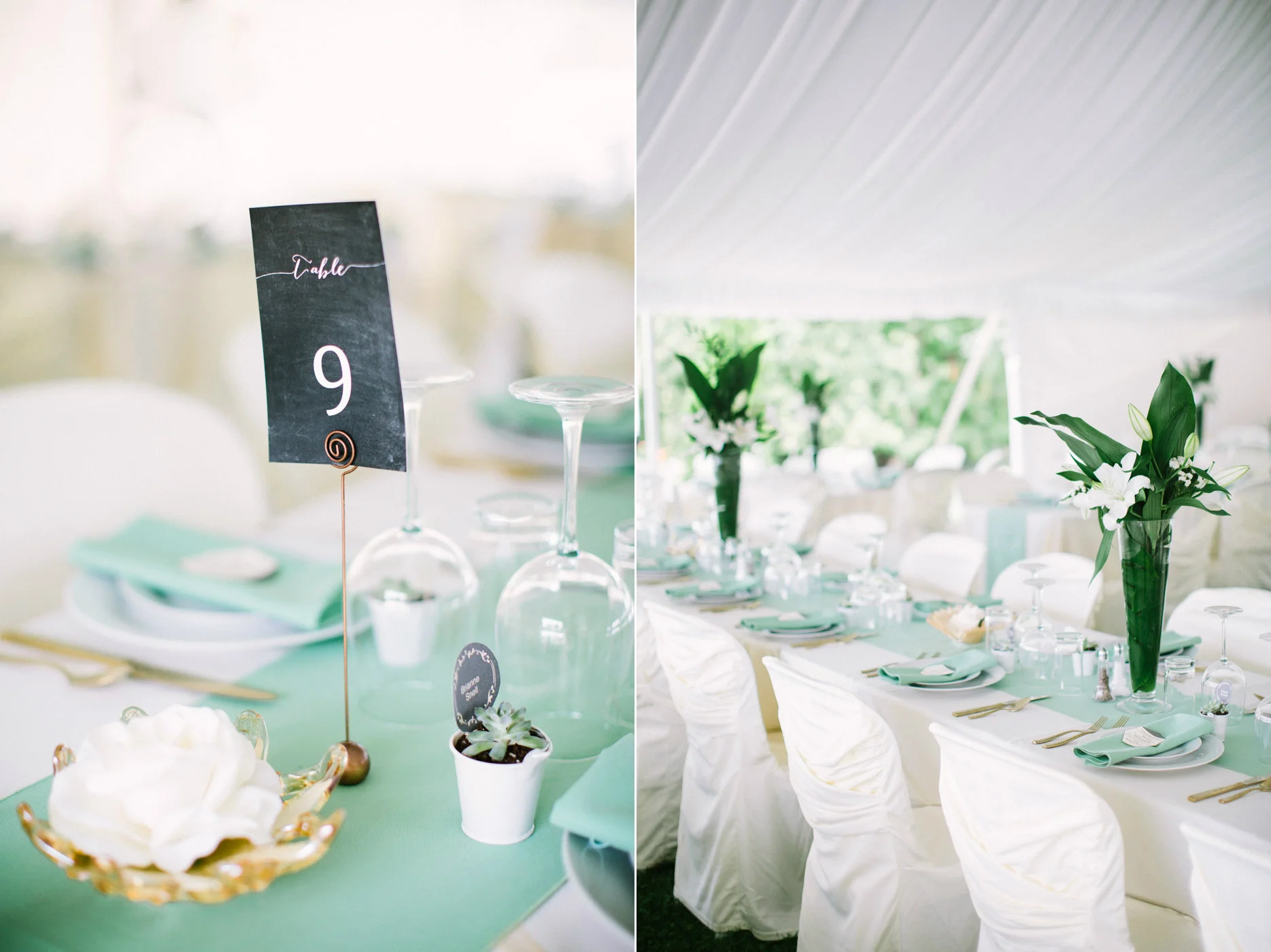 Backyard_collingwood_waterfront_diy_wedding2.jpg