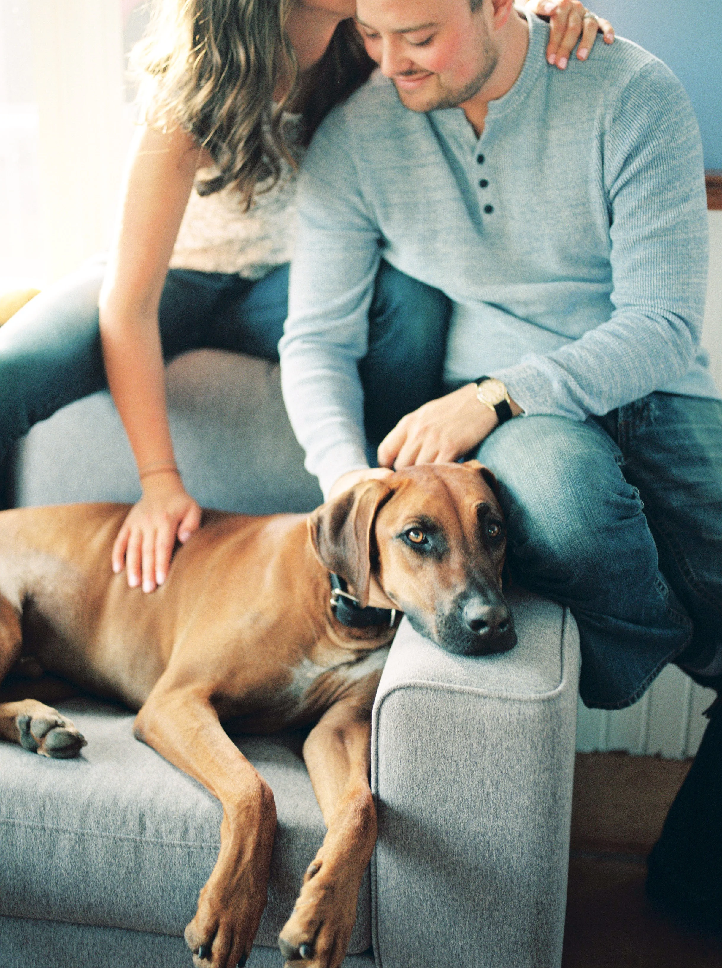 Include_dogs_in_your_wedding_photographs.jpg