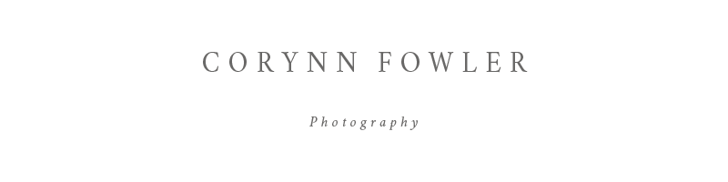 Corynn Fowler Toronto and Collingwood Wedding Photography