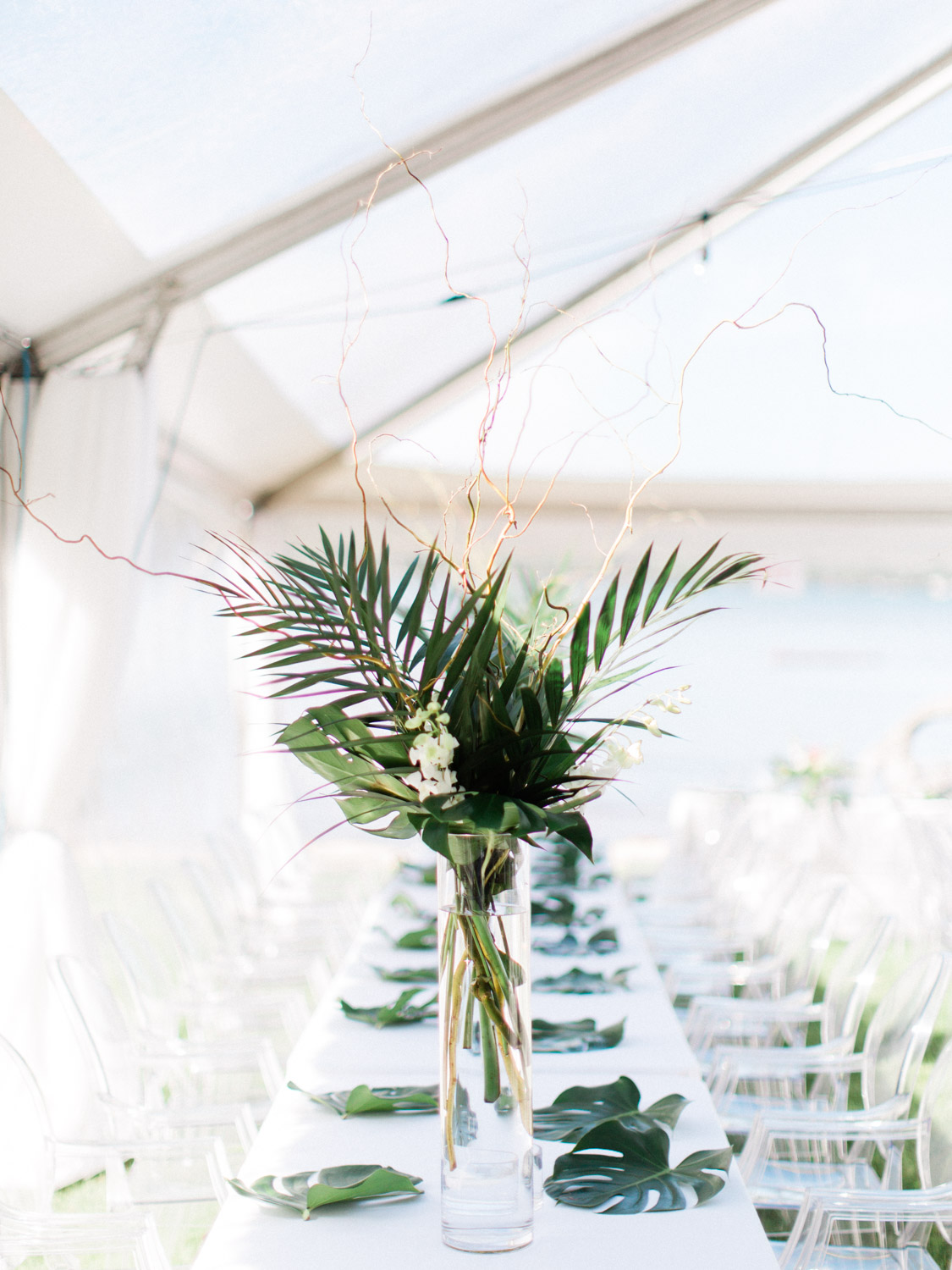 toronto-collingwood-photographer-intimate-tropical-summer-backyard-waterfront-wedding 2018-1.jpg