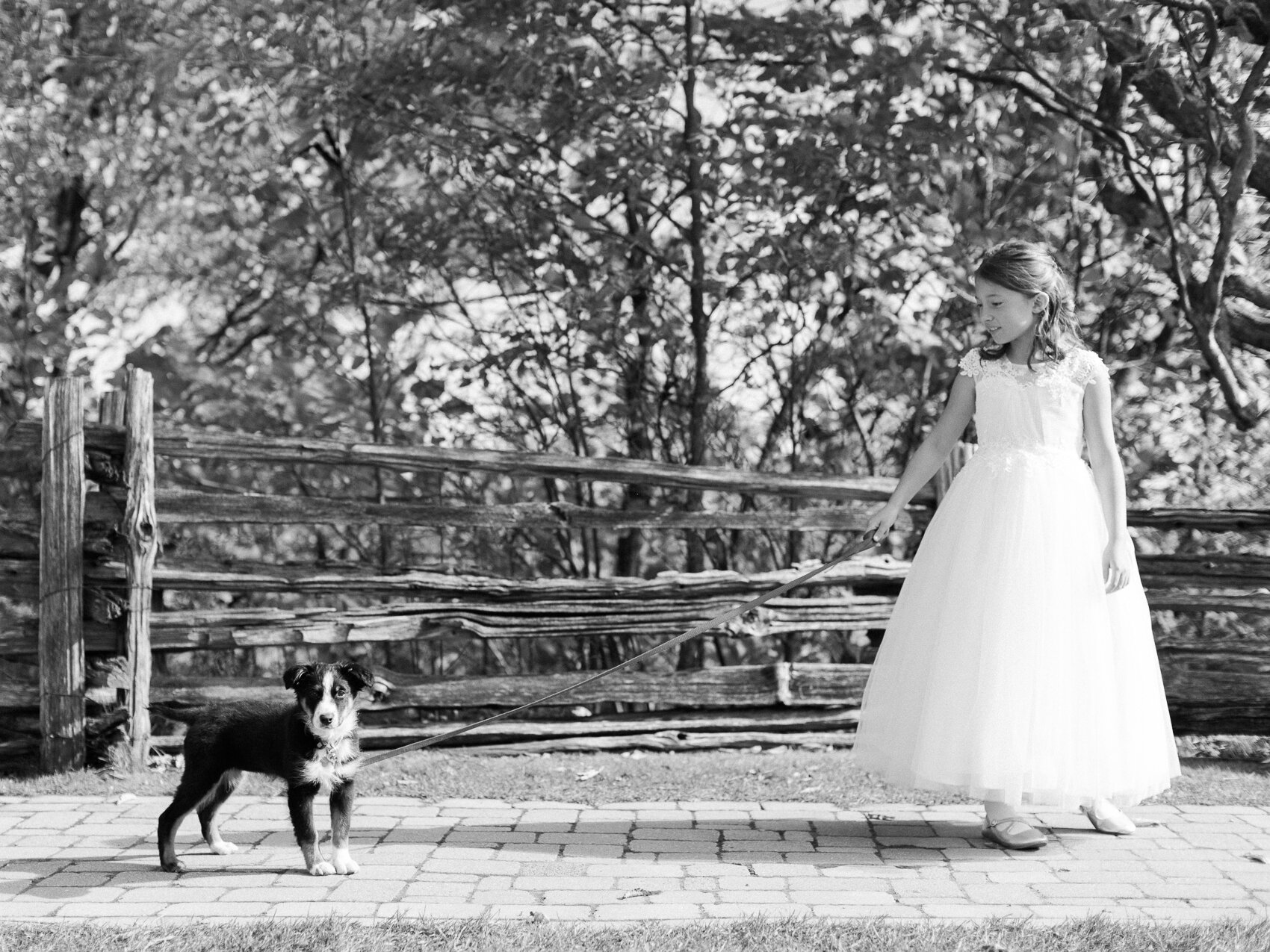 flower girl standing with a puppy at an outdoor fall wedding