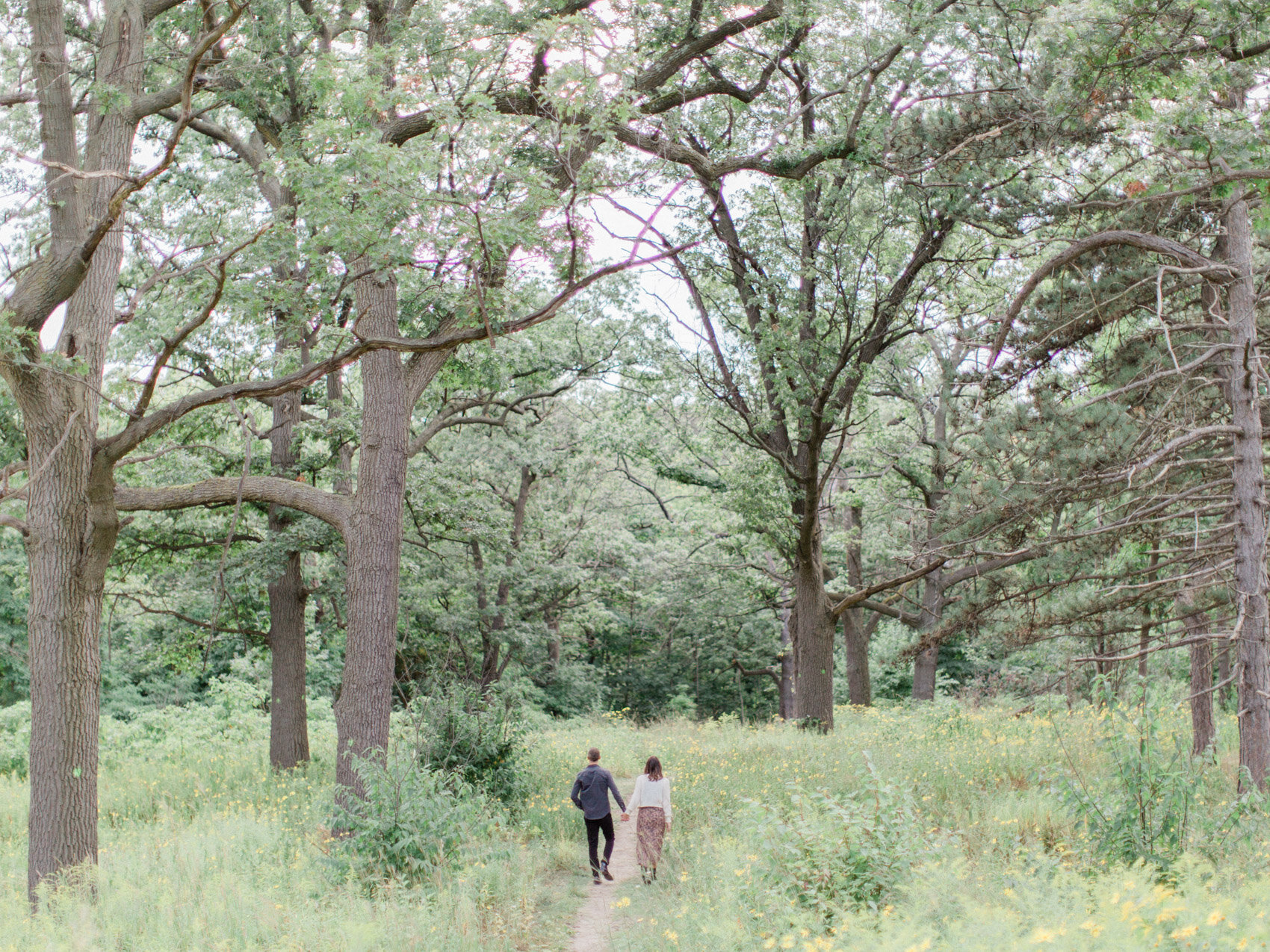 adventure engagement photograph of couple exploring the woods in high park in toronto
