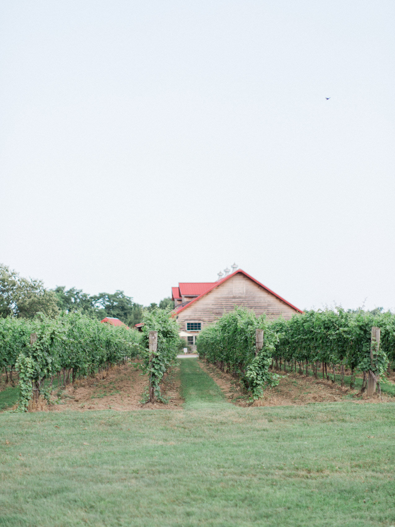 Corynn_Fowler_Photography_Toronto_Collingwood_Wedding_Photographer_candid_Natural_outdoor_Wedding_Relaxed_Niagara_Wedding6.jpg