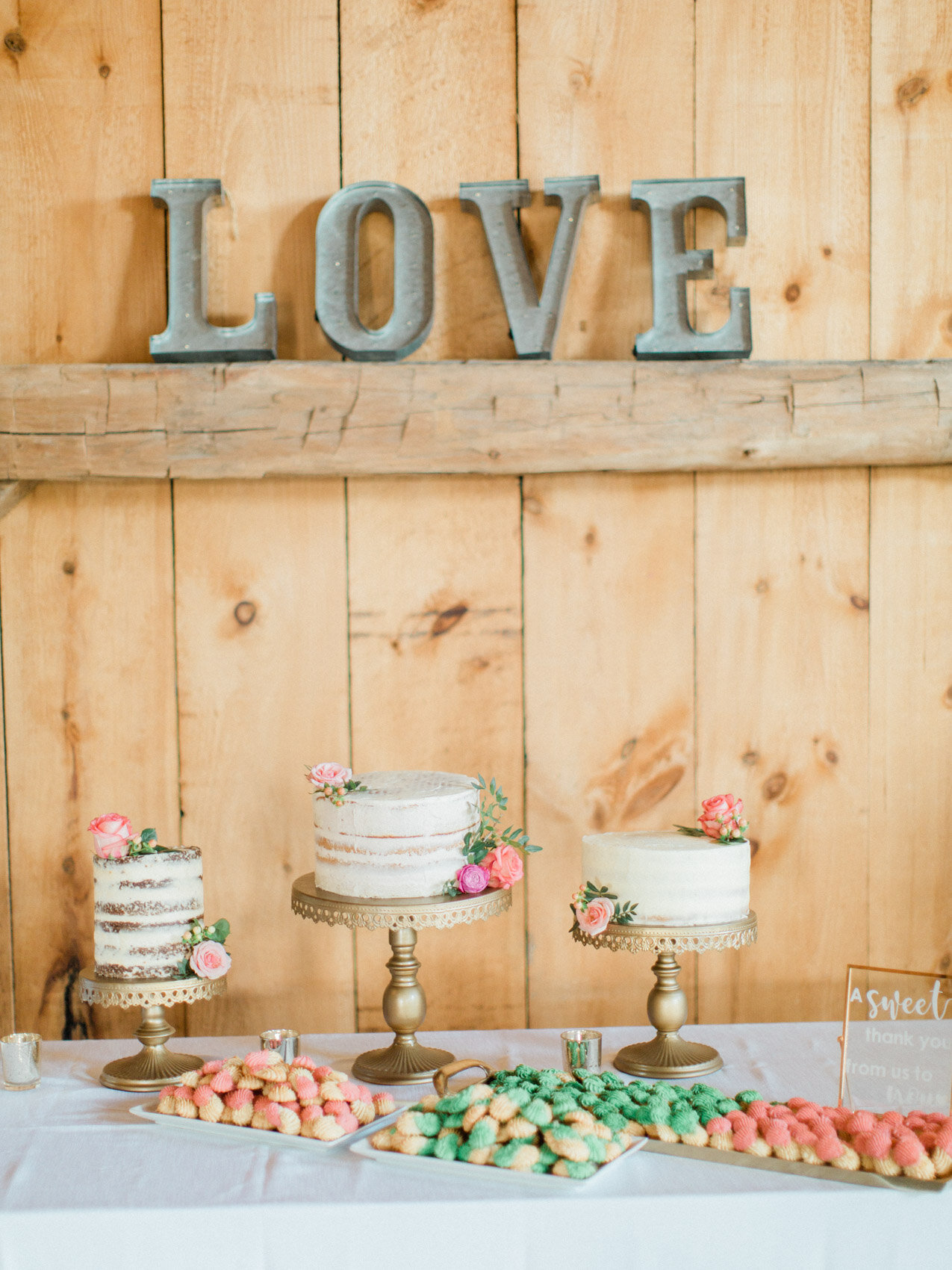 Corynn_Fowler_Photography_Toronto_Collingwood_Wedding_Photographer_candid_Natural_outdoor_Wedding_Relaxed_Niagara_Wedding190.jpg