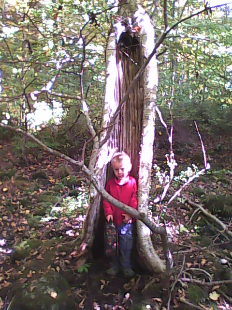 Kunsang in the mystical birch altar tree