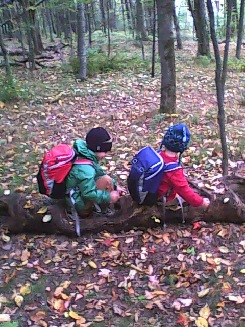 Silas and Kunsang in a fallen tree car or boat