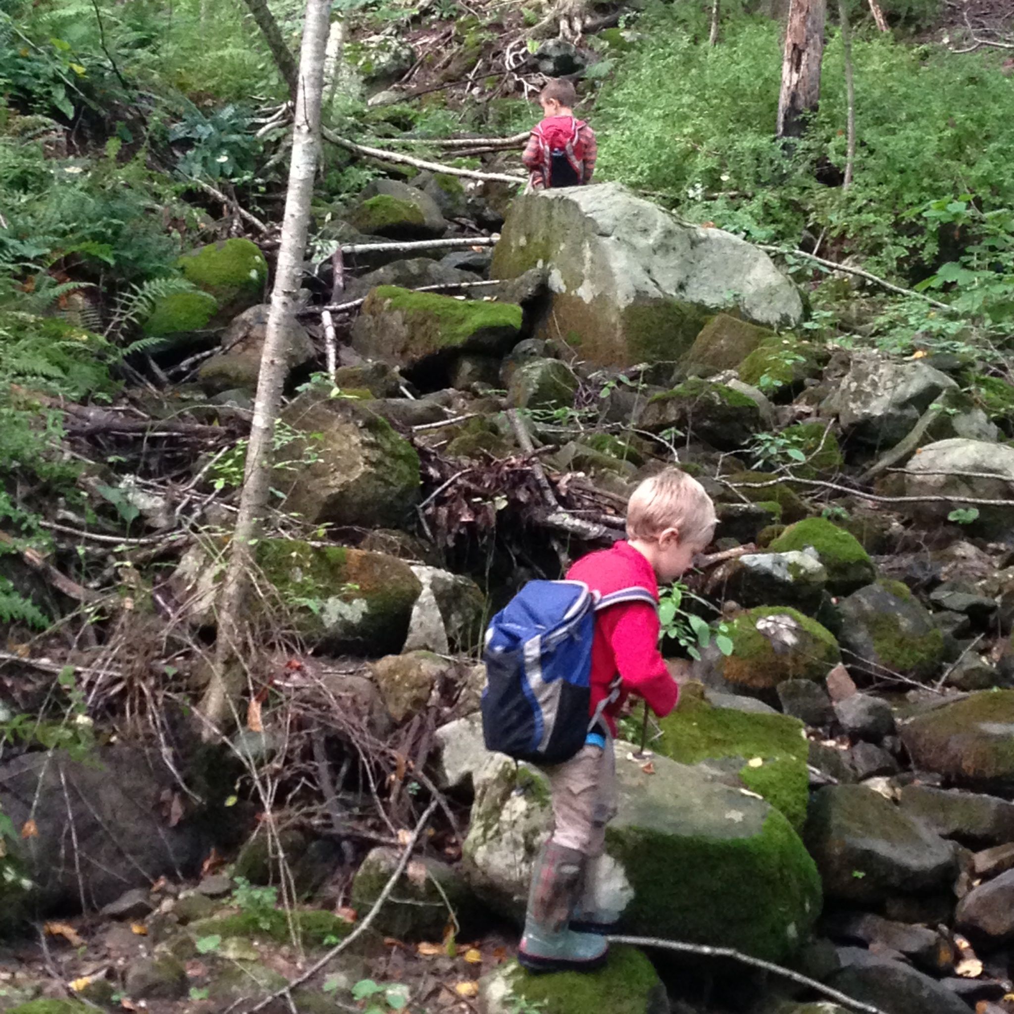 Crayfish hunting