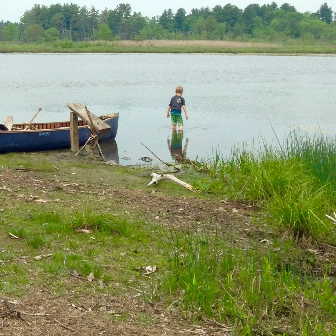 White Memorial field trip by canoe, along the Bantam River to Little Pond.