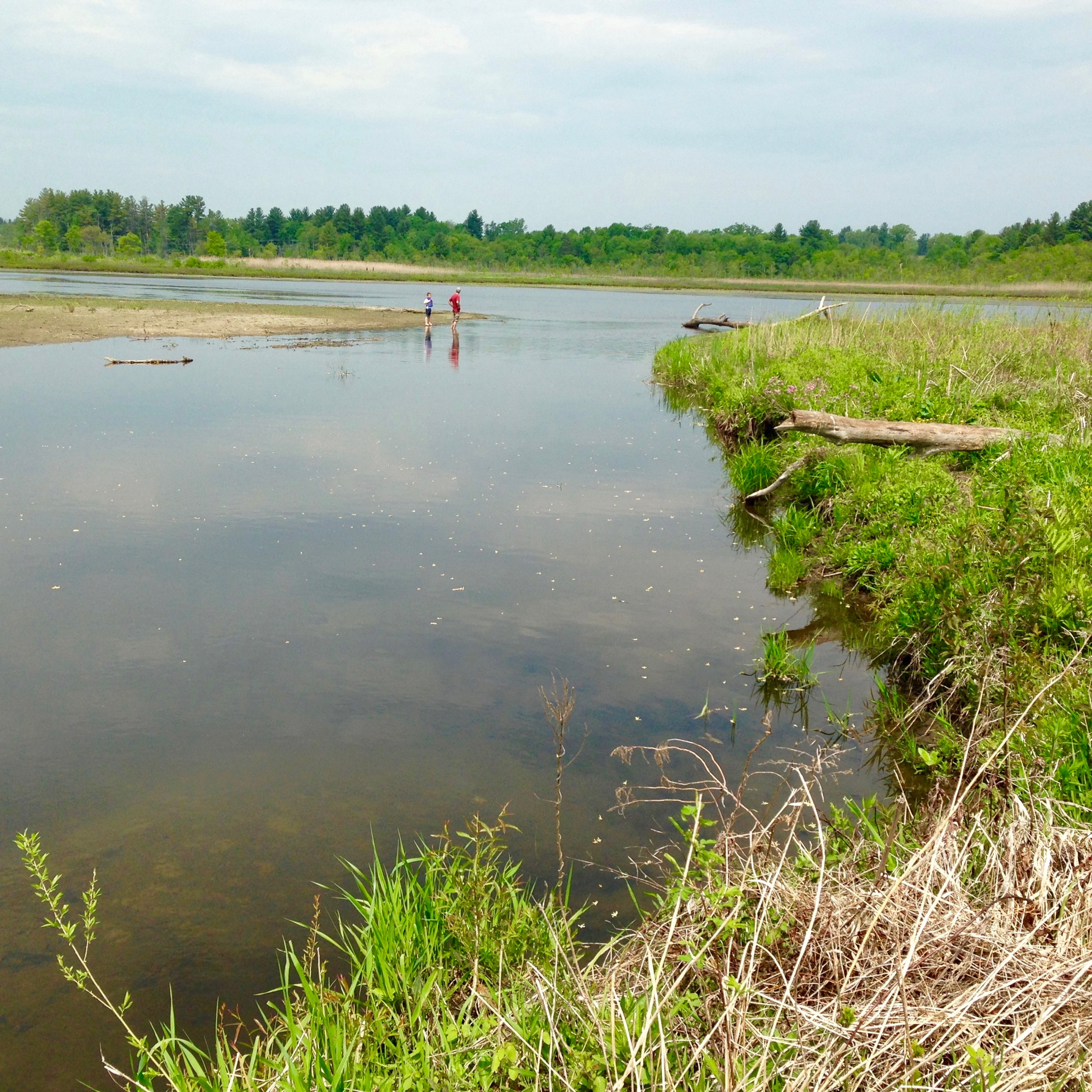 We named this spot "Point Doodley Legs" after an unidentified shore bird that intrigued us with its speedy gait.