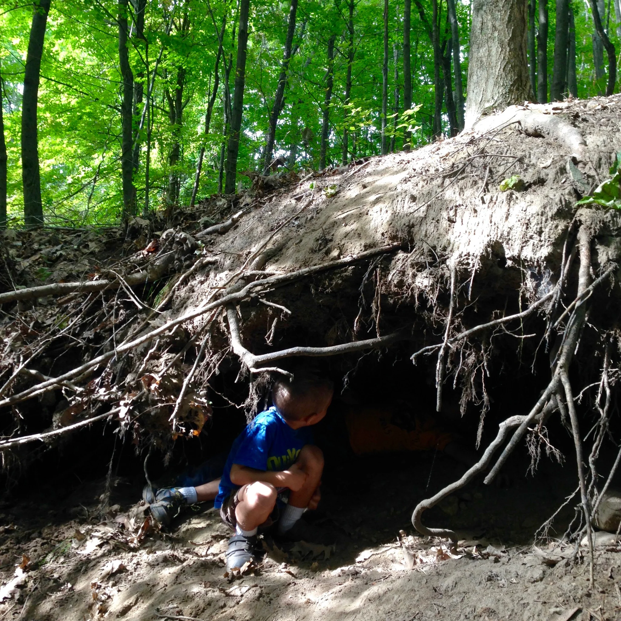 Exploring a root cave in the Dry Stump Gorge.