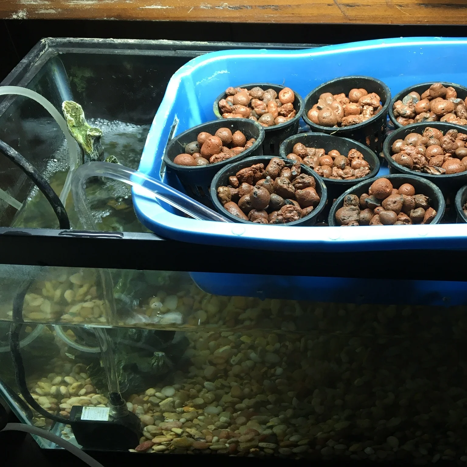 The complete hydroponic system
