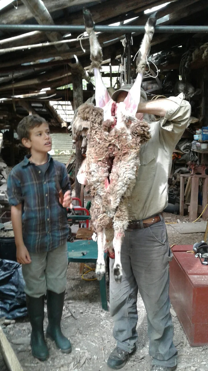 Skinning