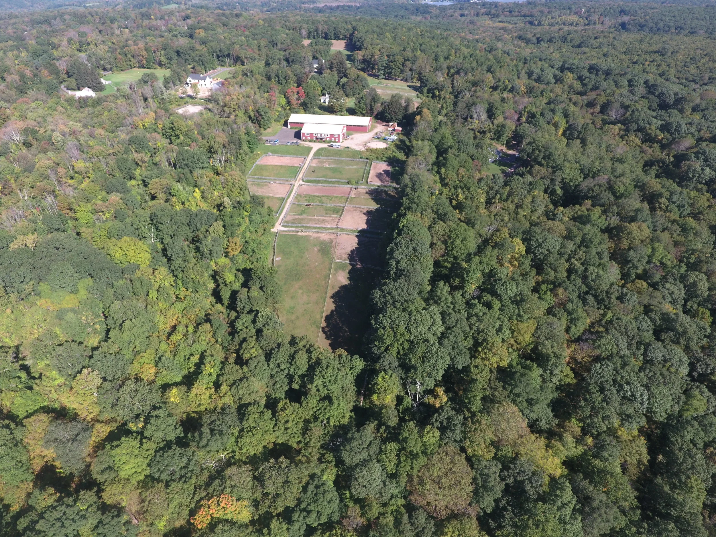 The woods around the horse farm, Windhorse International, is Eastern Woodland Learning's classroom.
