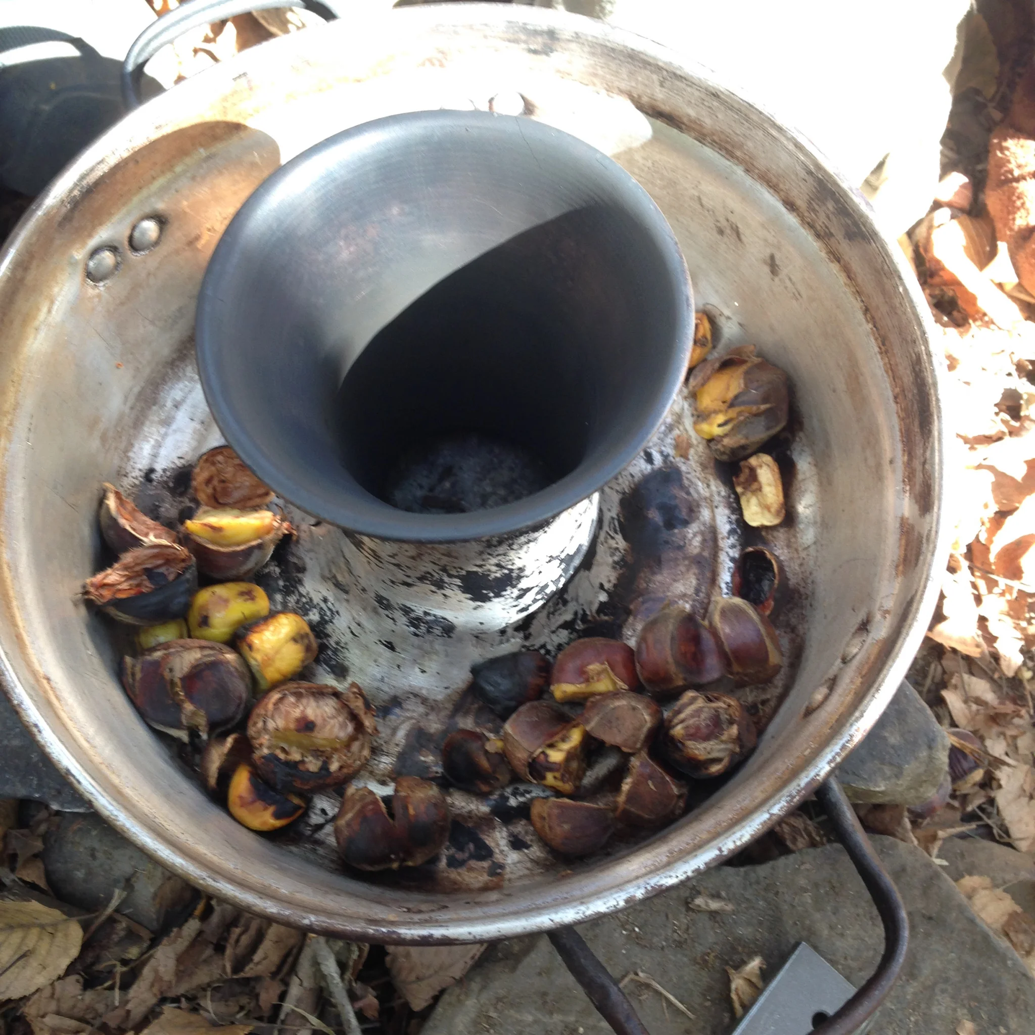 The chestnut roasted beautifully in our open-fire bread baking oven