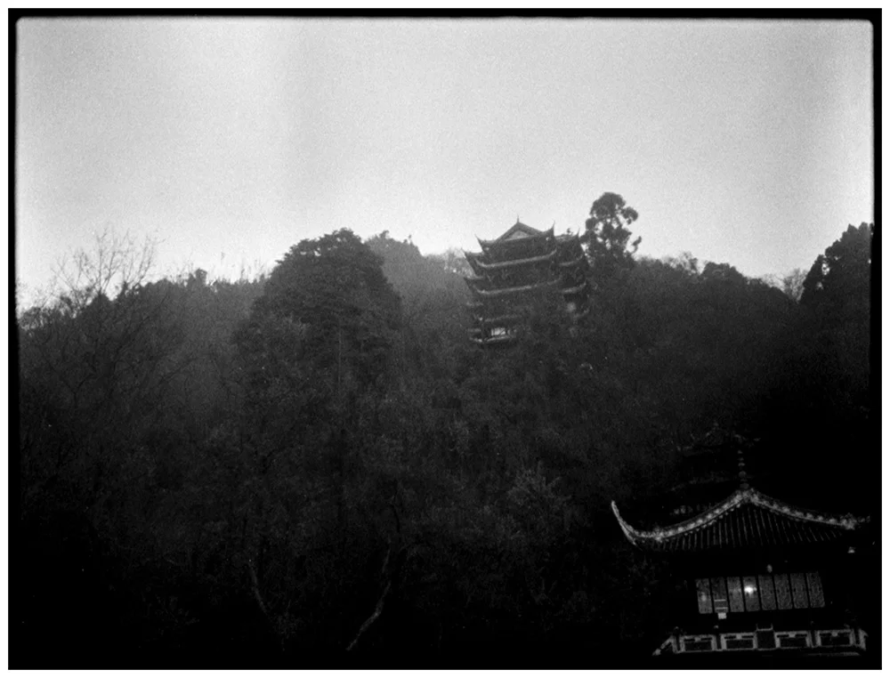 03.2016 Rollei 35 LED331.jpg