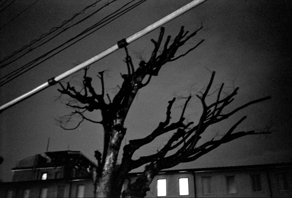 Rollei 35s2031.jpg