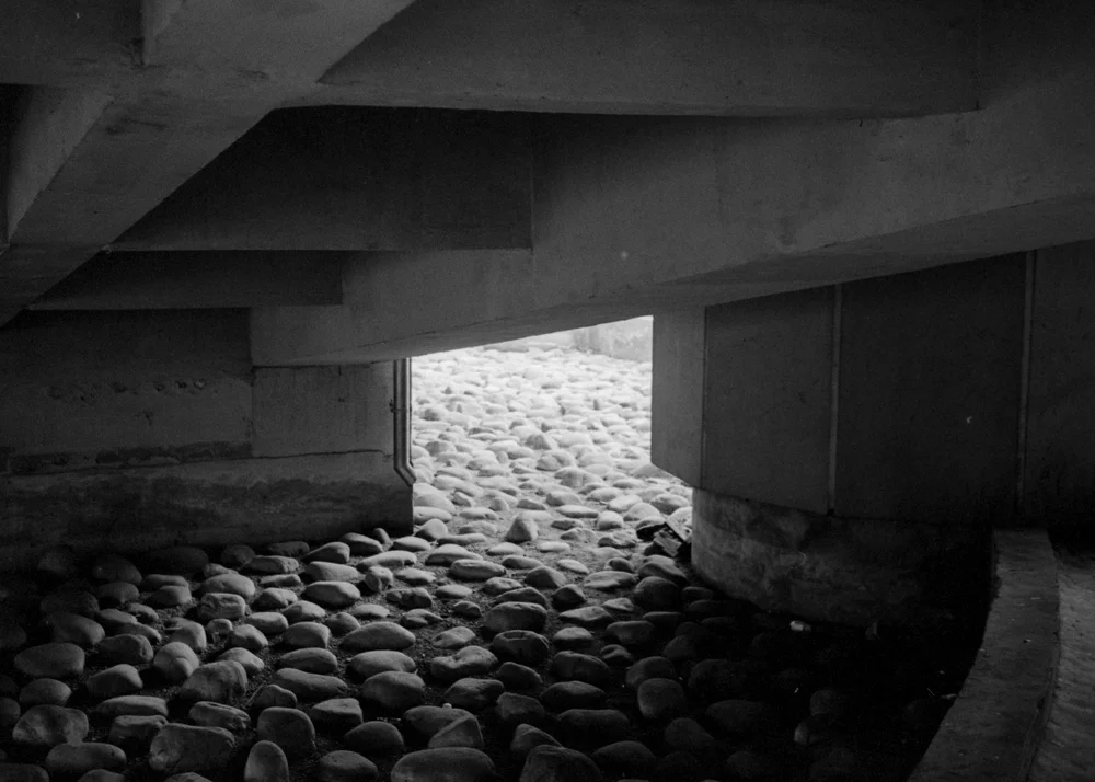 Rollei 35s3018.jpg