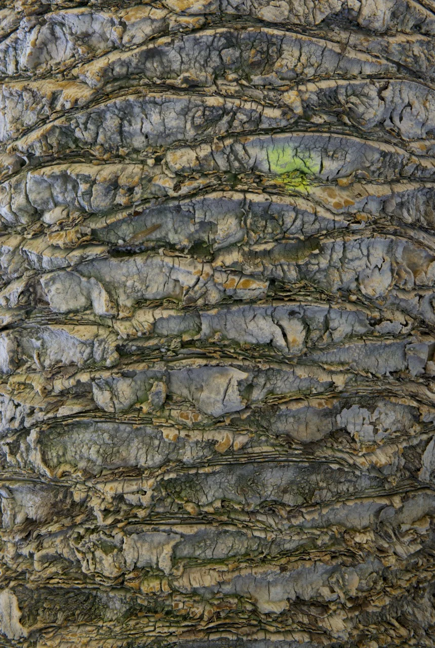 _JVB5515_2.jpg